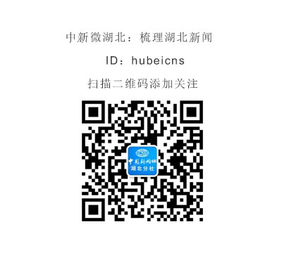 中新网湖北 湖北新闻网 夷陵主城融合·打造宜昌城市第三极