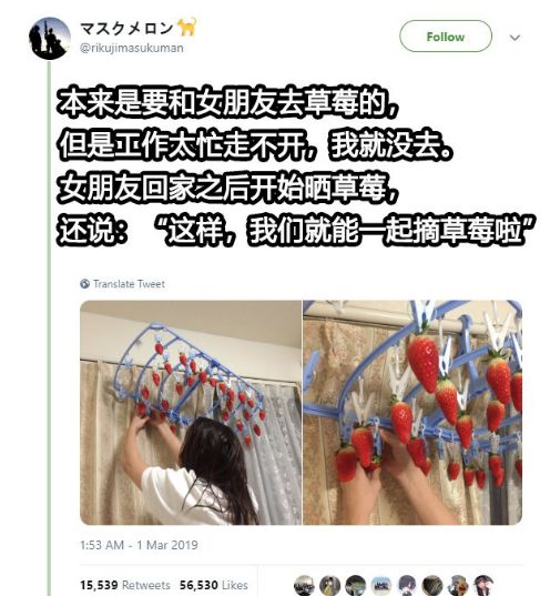 要优雅不要污：你分手以后，都经历了什么？