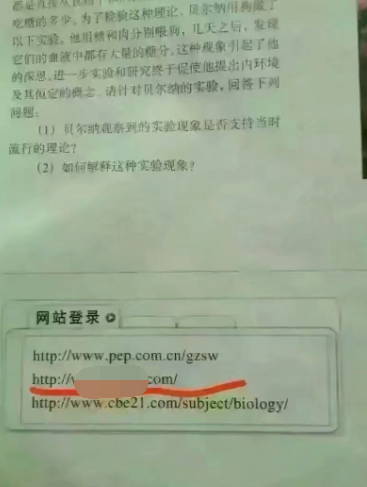 要优雅不要污：感觉以前吃了假的水果蛋糕